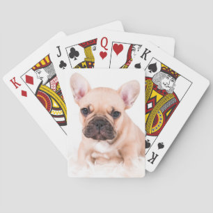 Jeu De Cartes French Bulldog