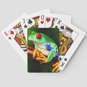 Jeu De Cartes Frog 1