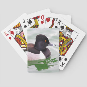 Jeu De Cartes Fuligule à collier