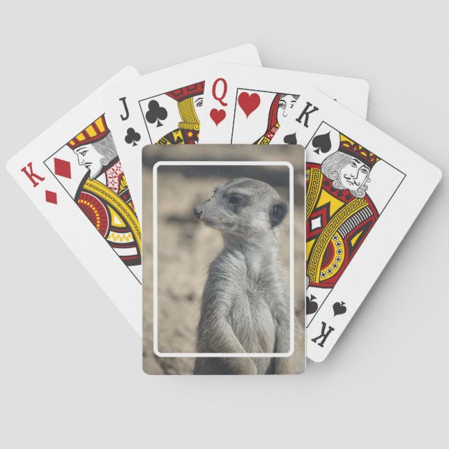Jeu De Cartes Funny Meerkat (dos)