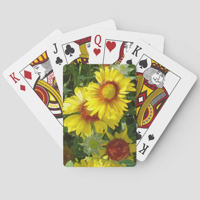 Jeu De Cartes Gaillardia jaune des fleurs sauvages F6 (dos)