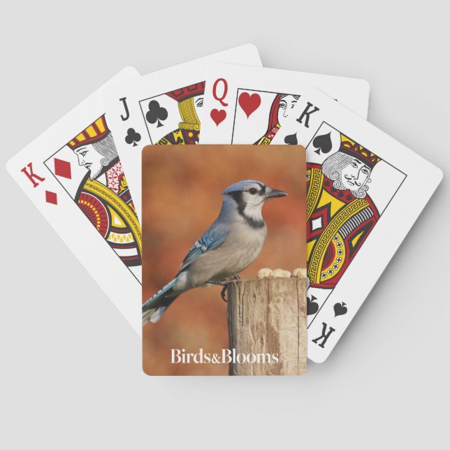 Jeu De Cartes Geai bleu (dos)