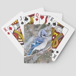 Jeu De Cartes Geai bleu dans une tempête de neige