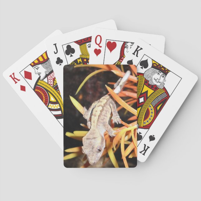 Jeu De Cartes Gecko crêté de bébé (dos)