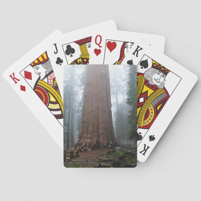 Jeu De Cartes Général Sherman Tree, Sequoia, CA (dos)