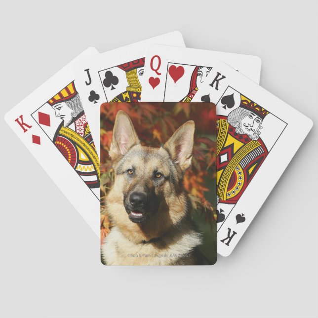 Jeu De Cartes German Shepherd Autumn Leaves (dos)