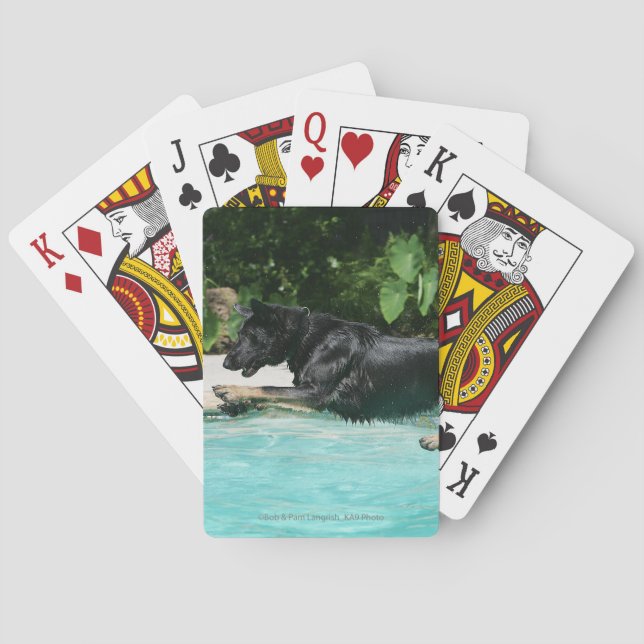 Jeu De Cartes German Shepherd Jumping à Water (dos)