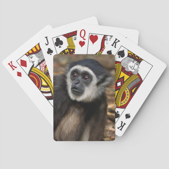 Jeu De Cartes Gibbon Blanc-Remis (Lar de Hylobates), Monkeyland (dos)
