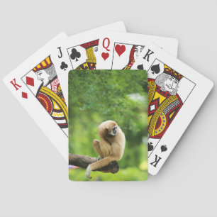 Jeu De Cartes Gibbon blanc sur un arbre