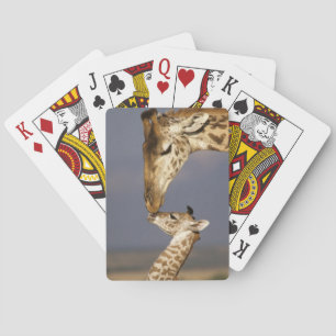 Jeu De Cartes Giraffe Baiser Bébé Giraffe