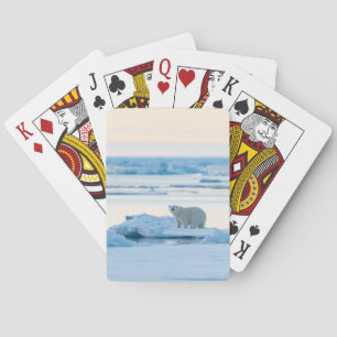Jeu De Cartes Glace et neige   Ours polaire Iceberg Norvège