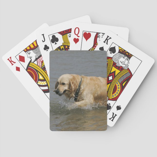Jeu De Cartes Golden Retriever (dos)
