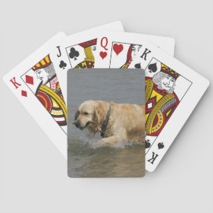 Jeu De Cartes Golden Retriever dans l'eau