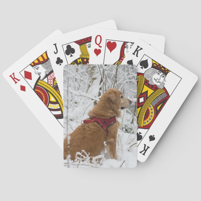 Jeu De Cartes Golden Retriever Jouer des cartes (dos)