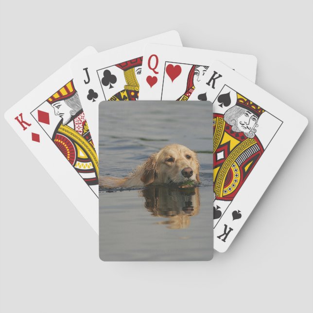 Jeu De Cartes Golden Retriever Nageant (dos)