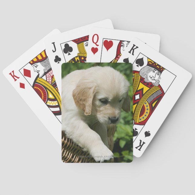 Jeu De Cartes Golden Retriever Puppy (dos)