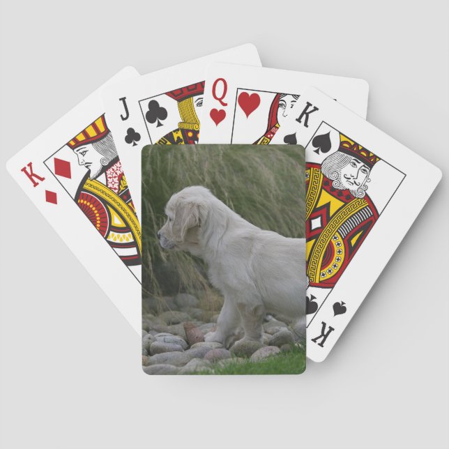 Jeu De Cartes Golden Retriever Puppy Standing (dos)