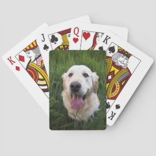 Jeu De Cartes Golden Retriever souriant