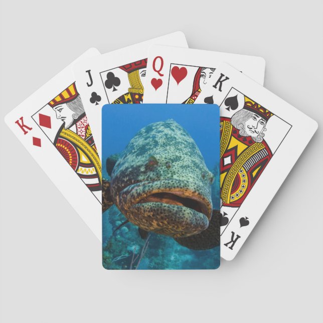 Jeu De Cartes Goliath de l'Atlantique (dos)