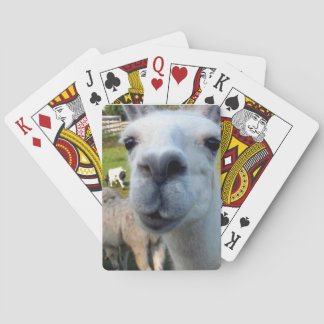 Jeu De Cartes Goofy Llama
