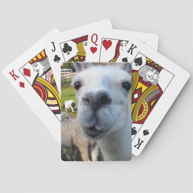 Jeu De Cartes Goofy Llama (dos)