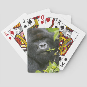 Jeu De Cartes Gorille des montagnes à dos argenté