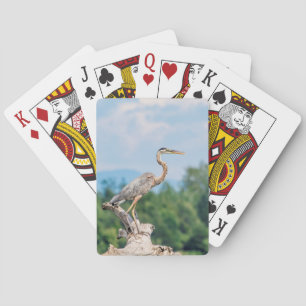 Jeu De Cartes Grand héron bleu