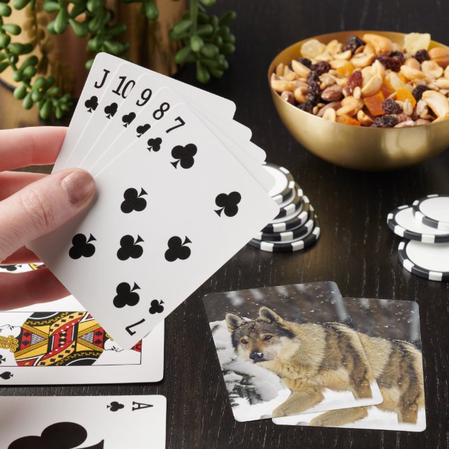 Jeu De Cartes Grand Loup sauvage gris dans la neige (In Situ)