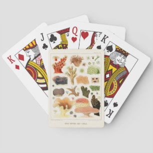 Jeu De Cartes Grande barrière vintage de corail d'Australie