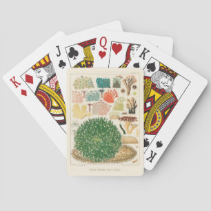 Jeu De Cartes Grande barrière vintage de corail d'Australie