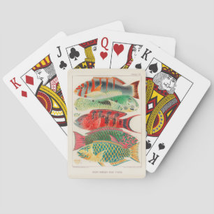 Jeu De Cartes Grande barrière vintage de l'Australie Poissons