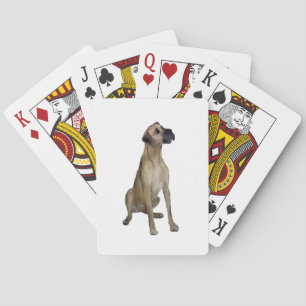 Jeu De Cartes Grande Danse - FawnSit - oreilles naturelles