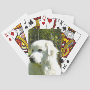 Jeu De Cartes grande pyrénées
