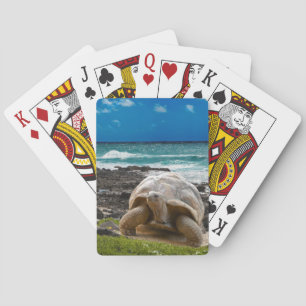 Jeu De Cartes Grande tortue au bord de mer