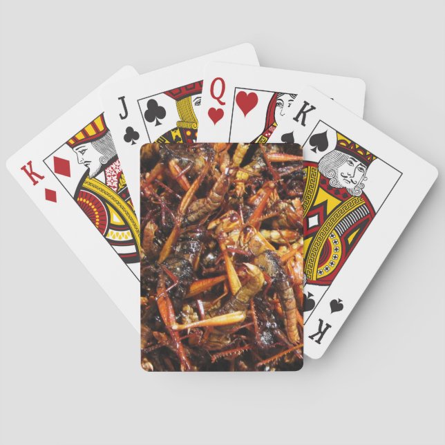 Jeu De Cartes Grasshopper frit (Takkataen Thot) Alimentation asi (dos)