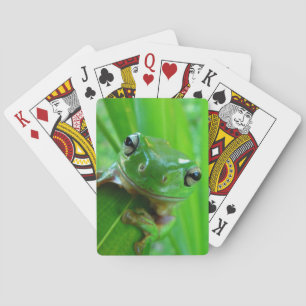 Jeu De Cartes Grenouille verte Cartes de jeu