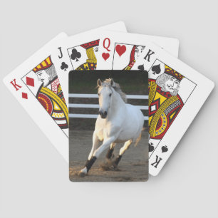 Jeu De Cartes Grey Lusitano chez Liberty Playing Cards