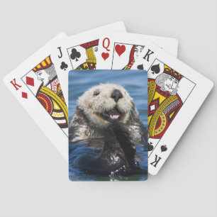 Jeu De Cartes Grosses de loutres de mer de Californie Enhydra lu