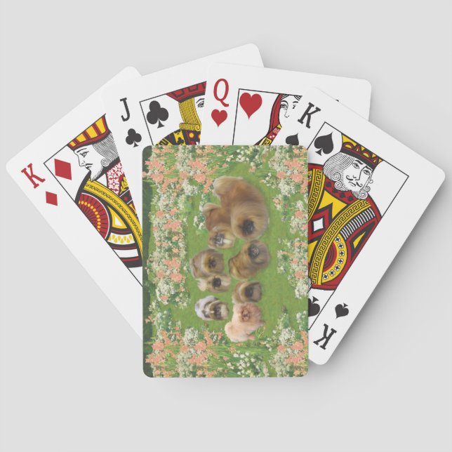 Jeu De Cartes Groupe de jardins (dos)