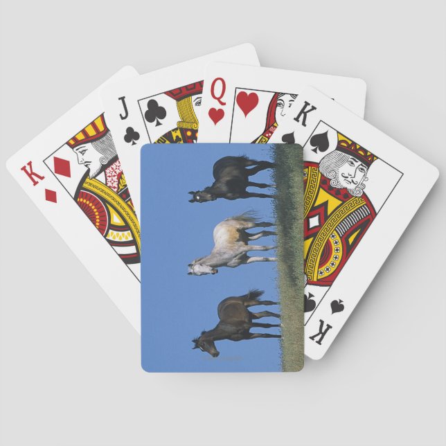 Jeu De Cartes Groupe des Arabes (dos)