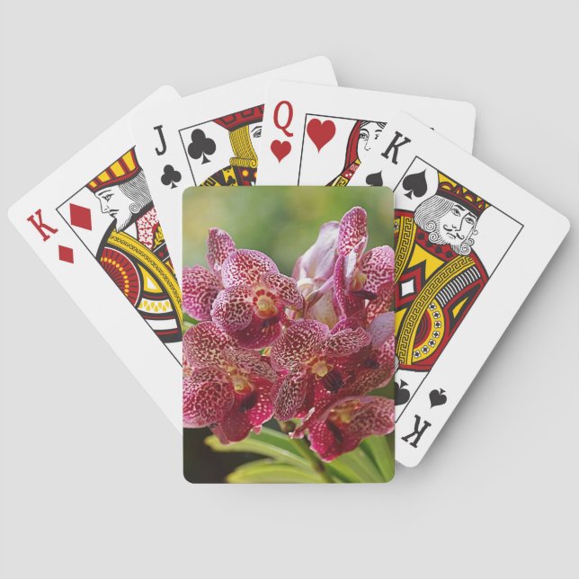 Jeu De Cartes Groupe tropical d'orchidées de Vanda (dos)