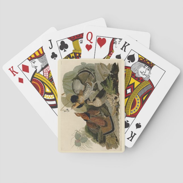 Jeu De Cartes Grouse rouffé - d'Audubon's Birds of America (dos)