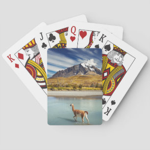 Jeu De Cartes Guanaco traversant la rivière en Torres del Paine