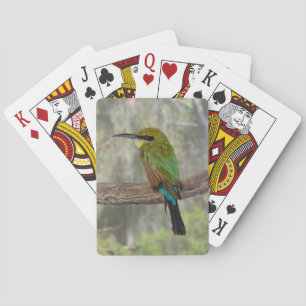 Jeu De Cartes Guêpier arc-en-ciel, Australie