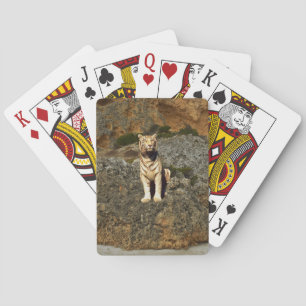 Jeu De Cartes Guise blanche,