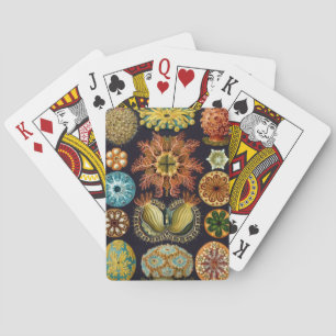 Jeu De Cartes Haeckel