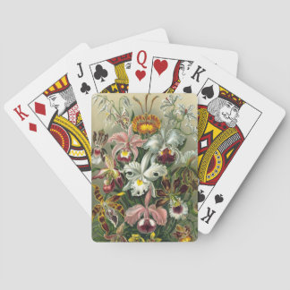 Jeu De Cartes Haeckel