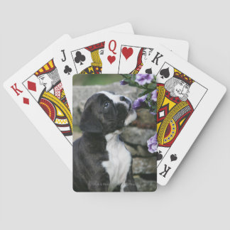 Jeu De Cartes Halètement de chien de boxeur