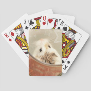 Jeu De Cartes Hammyville - Cute Hamster