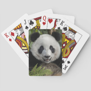 Jeu De Cartes Happy young panda